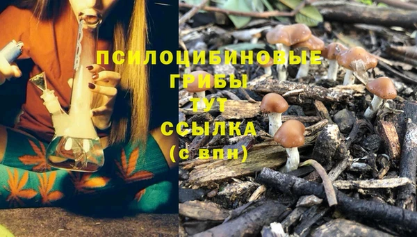 амфетамин Абинск