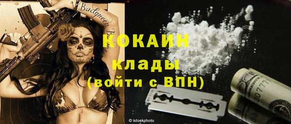 крисы Абаза