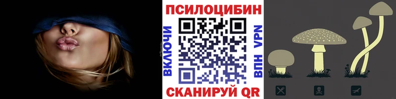 где продают наркотики  Котельнич  Галлюциногенные грибы Psilocybine cubensis 